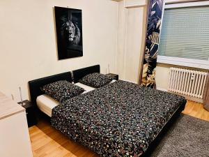 appartment avec balcon strasbourg centre