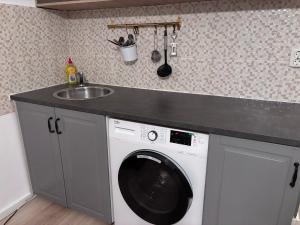 Lions Studio Dristor