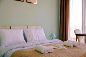 Dandelion Hotel Gudauri