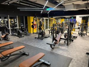 Apartament Erika Premium Sinaia