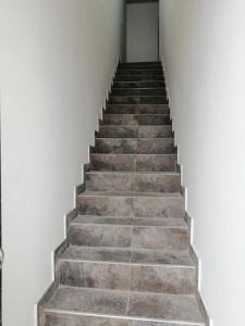 Floralhome Embrujo aparta estudio