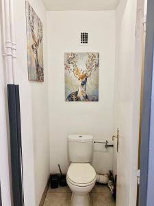 appartment avec balcon strasbourg centre