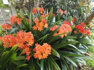 Clivia Cabin - Dana Bay, Mossel Bay