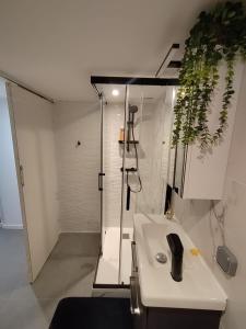 Central Cozy Studio near Opera