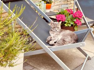 Green House - ubytovanie v súkromí