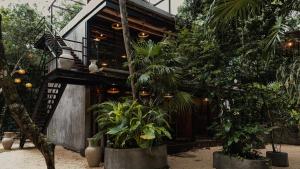 Casa Taatva - Oasis with Pool in the Jungle