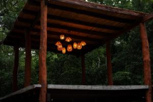 Casa Taatva - Oasis with Pool in the Jungle