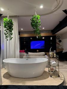 Luxury loft with tub and city view