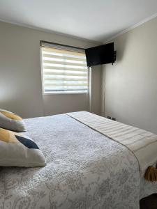 Departamento full equipado, Playa pelluco