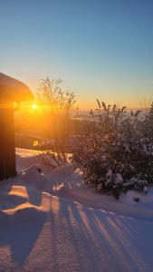 Ferienbungalow Sonnenwald Bayerischer Wald