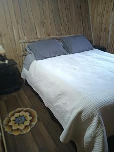 Cabañas Río Iculpe