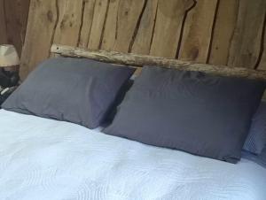 Cabañas Río Iculpe