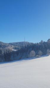 Ferienbungalow Sonnenwald Bayerischer Wald