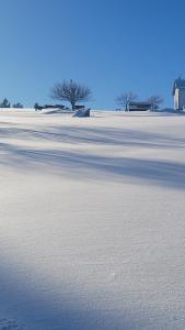 Ferienbungalow Sonnenwald Bayerischer Wald