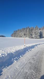 Ferienbungalow Sonnenwald Bayerischer Wald