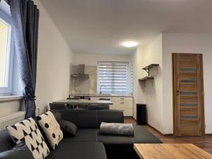 Cozy nest Jáchymov - Apartment