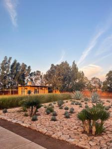 South Lodge by Little Cactus - Adult Only