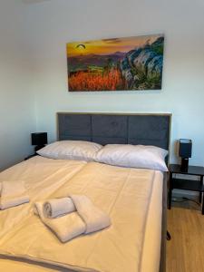 MaMa-Apartments - Haus Martina im Herzen der Rhön - 3 einzelbuchbare moderne Wohnungen für 2-8 Personen, Terrasse, Balkon, Garten, Ski und E-Bike Keller, Lounge, freies Wlan, familienfreundlich