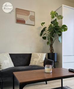 Apartament Nadwiślański