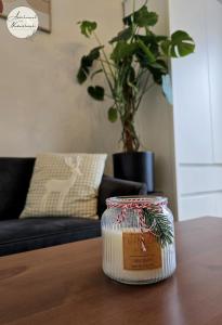 Apartament Nadwiślański