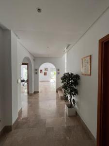 Beautiful triplex with garden