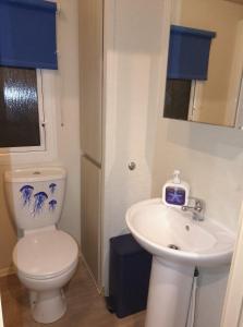 Bluebird Caravan, Golden Gate Holiday Park, Abergele