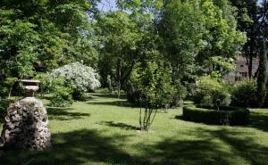 B&B / Chambres d'hotes Domaine de Rasigous : Chambre Double ou Lits Jumeaux Deluxe – Vue sur Jardin
