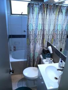 Depto San Miguel Santiago