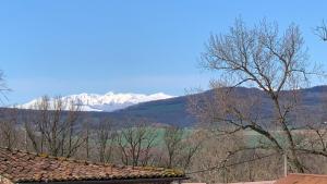 Maison spacieuse et lumineuse avec jardin