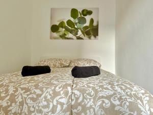 Central Cosy Apartment with Free Parking