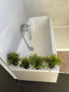 Villa d architecte moderne avec piscine Immersion nature et lumière