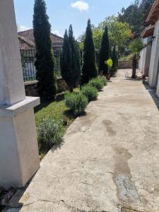 vila matejevic