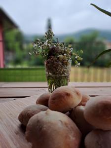 Bellinzona, bed & breakfast di D, alloggio in casa privata con accesso privato con colazione