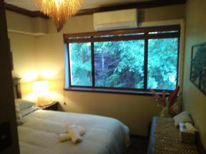 Whitsunday Harbour Views