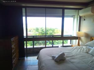 Whitsunday Harbour Views