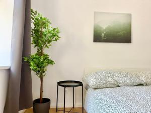 Renovated Ground Floor Apartment