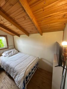 Relájate en frutillar vista a los volcanes