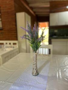 Casita siempre verde