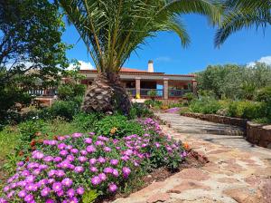 Alghero Villa Barranch with sea view swimming pool for 6 people