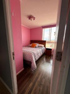 Departamento San Joaquin