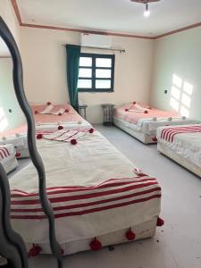 RIAD Dar land
