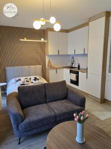 Modern Studio Szałasa