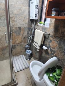 Entire Apartment, Roma Sur CDMX