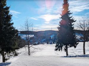 Schonach-Terrassenpark, swimming pool, sauna, pingpang, tennis, table football, free parking