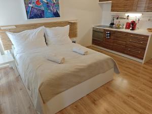 Apartmán SOVA - Klínovec