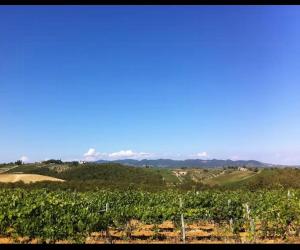Panoramic Guesthouse In The Siena Hills