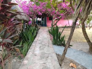 ECOHOTEL LAS FLORES Econativo