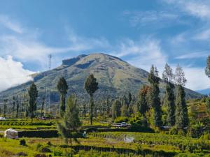 Miarzafa Cabin House DIENG