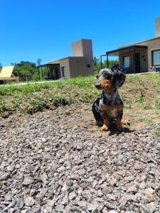 Casasdecampo pasabaxaqui