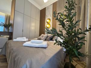 Family & Business Apartments Sienkiewicza Wesoła No 7 Centrum Downtown - PREMIUM SPA - 1 Bedroom with Private Sauna and Jacuzzi